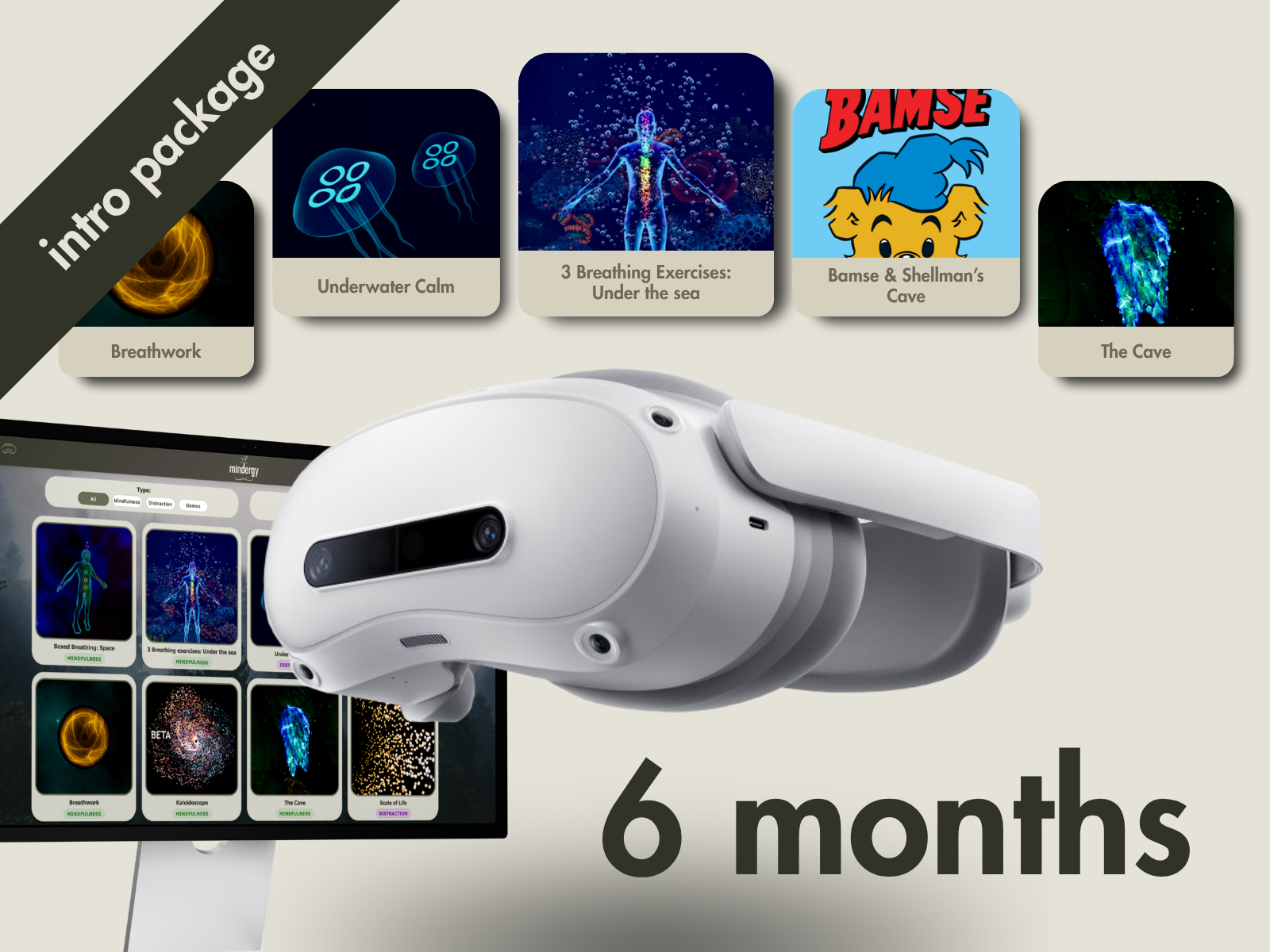 Mindergy Intro Package (6 months)